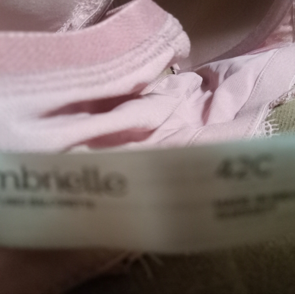 Woman's bra Great for Spring/Easter - Picture 3 of 3